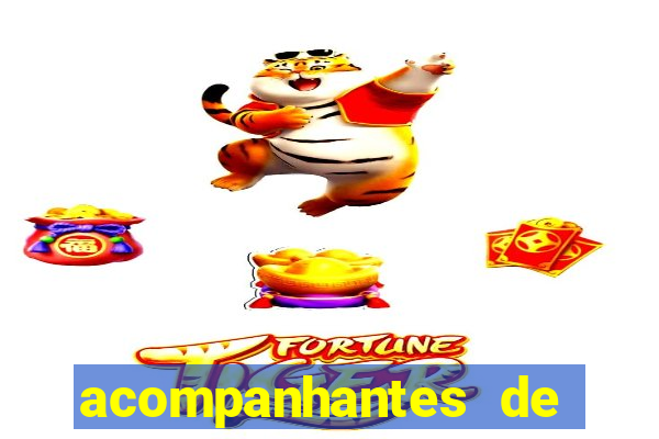 acompanhantes de nova mutum